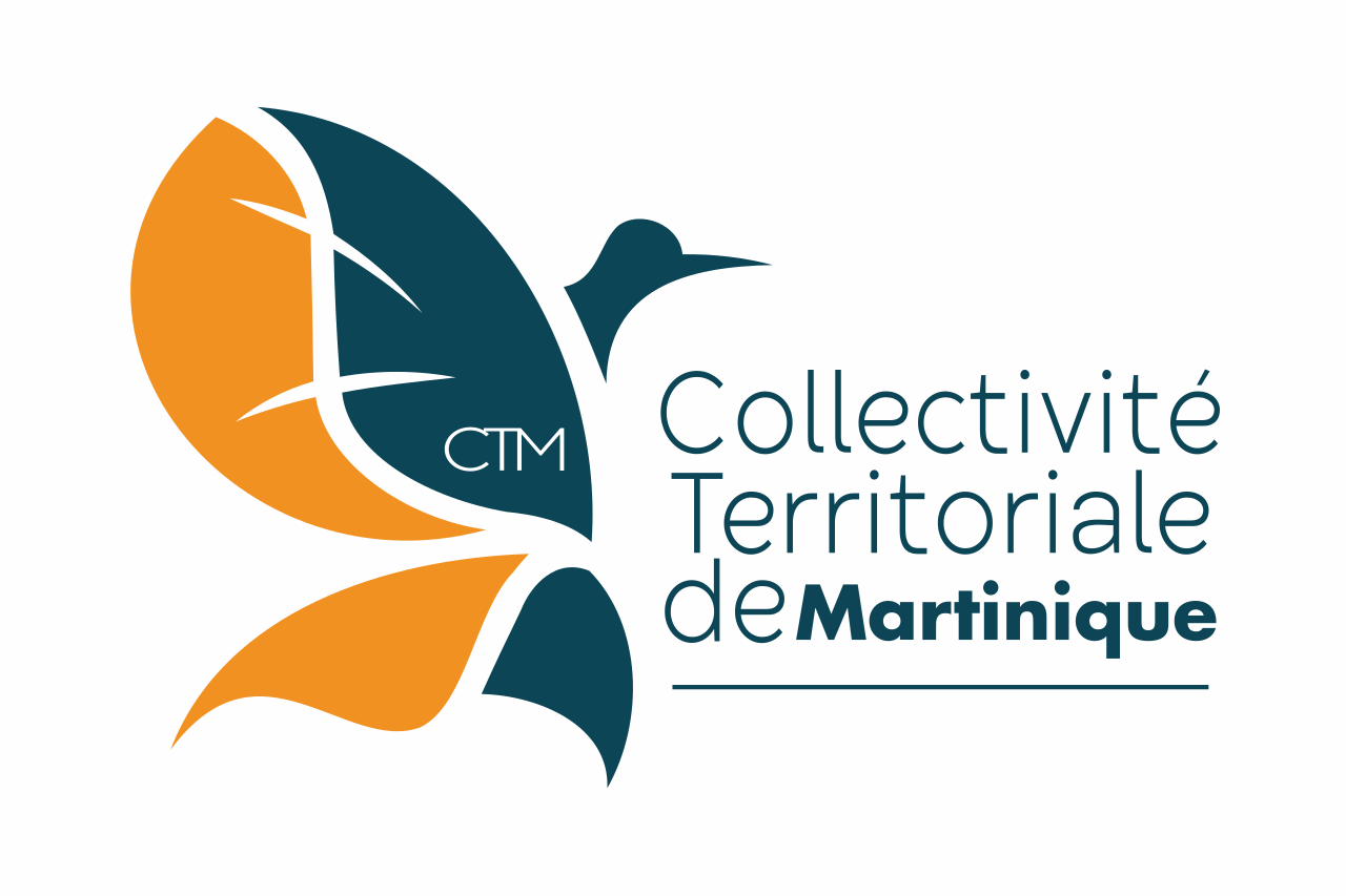 Flag_of_Martinique_(Local).svg