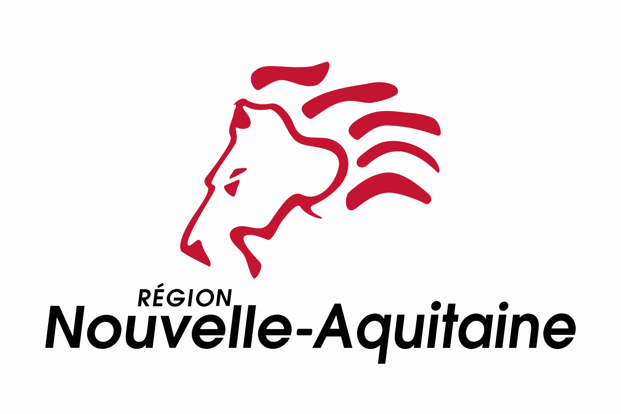 Flag_of_the_Region_of_Nouvelle-Aquitaine_(Variant_1).svg